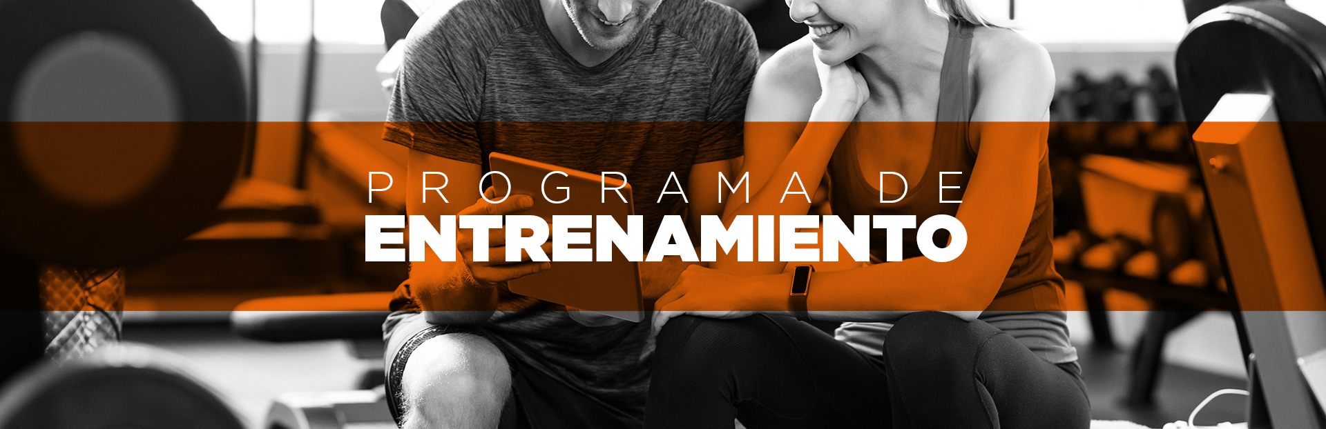 Programa de entrenamiento