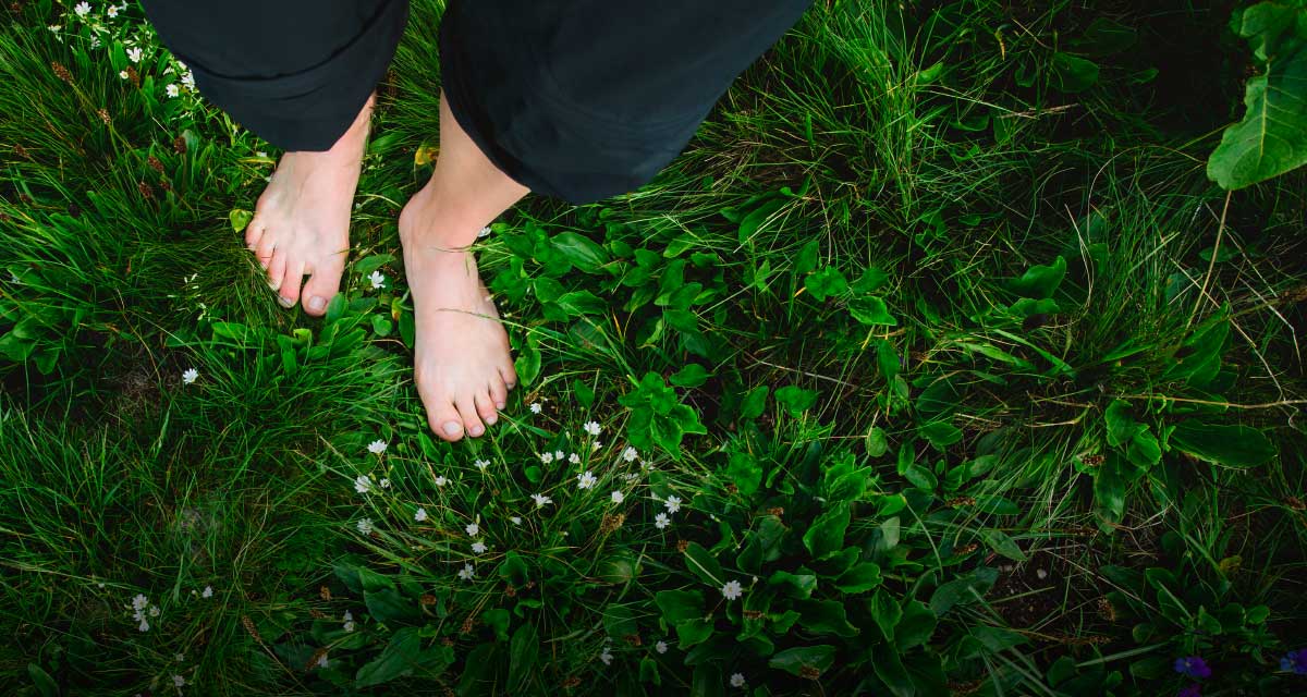 The Earthing Movie, app Seconds y más