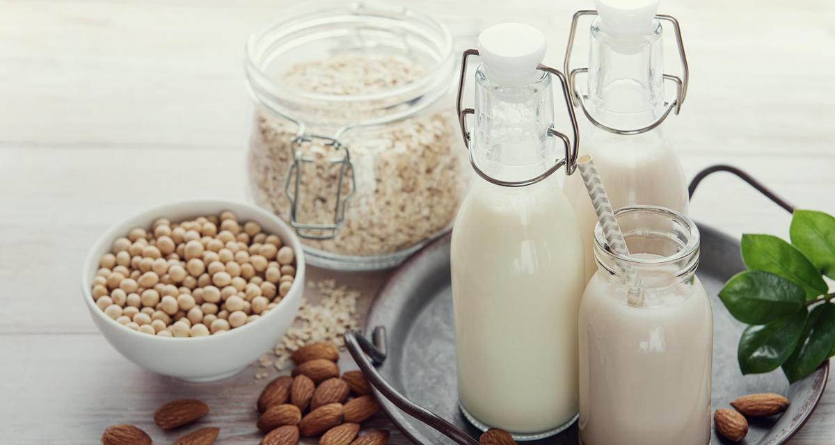 Alternativas a la leche de vaca: ¿Cuál es la mejor opción?